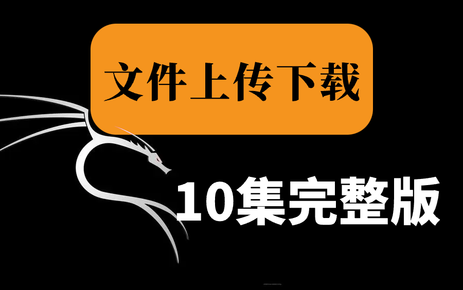 【024最新讲解】web十大漏洞(owasp top 10)介绍与任意文件上传下载漏洞 通关靶场等你来闯!!!哔哩哔哩bilibili