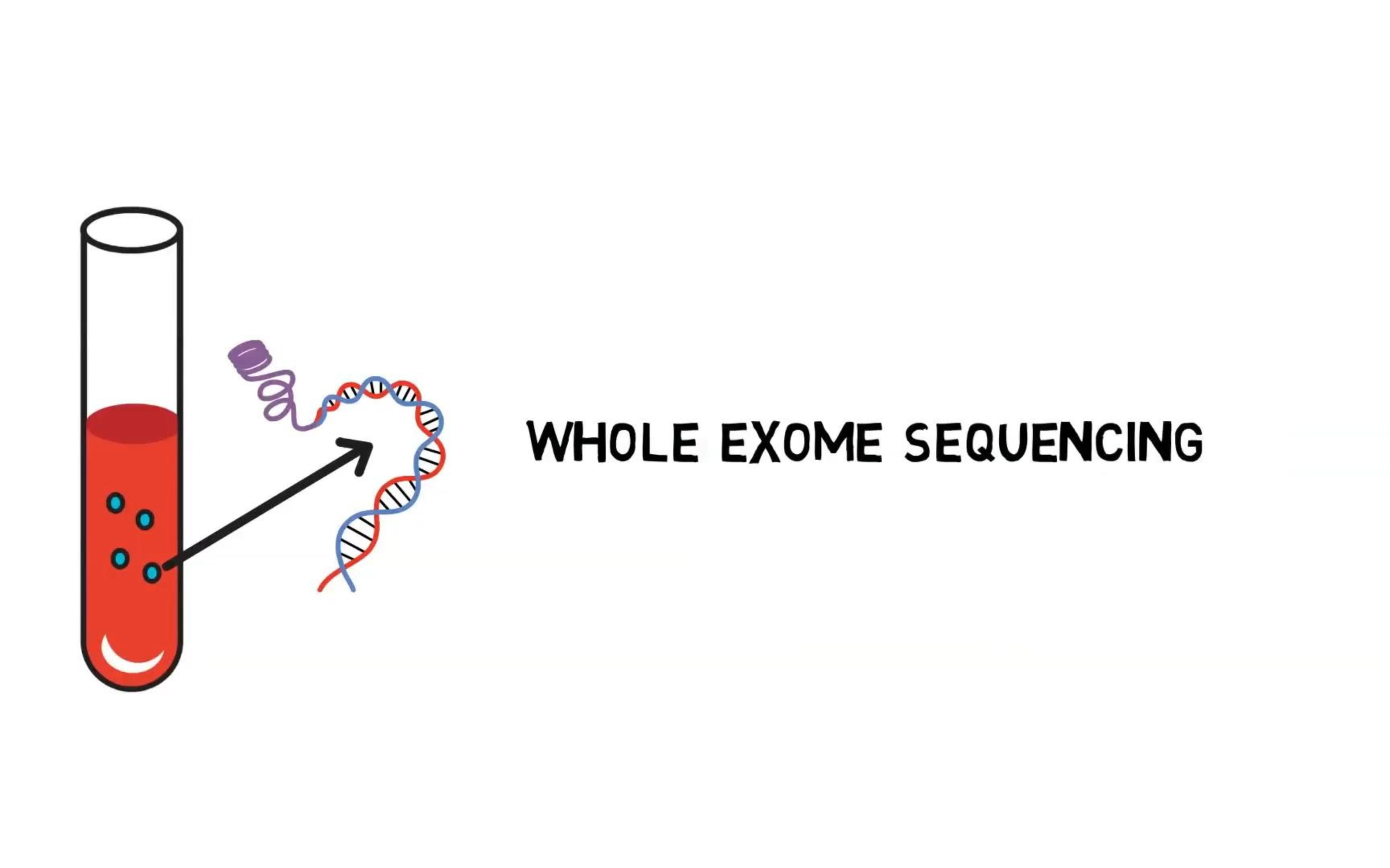 Whole Exome Sequencing全外显子组测序哔哩哔哩bilibili