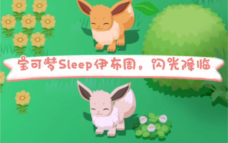 【宝可梦sleep】一起来伊布周吸引闪光伊布吧!