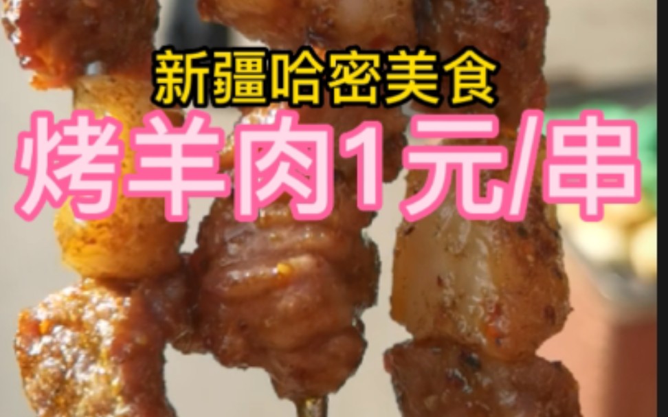 【烤羊肉串界的地板】在新疆哈密发现一元一串的烤羊肉串,好吃实惠淡个嘴哔哩哔哩bilibili