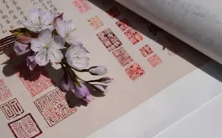 金細工師 哔哩哔哩 Bilibili