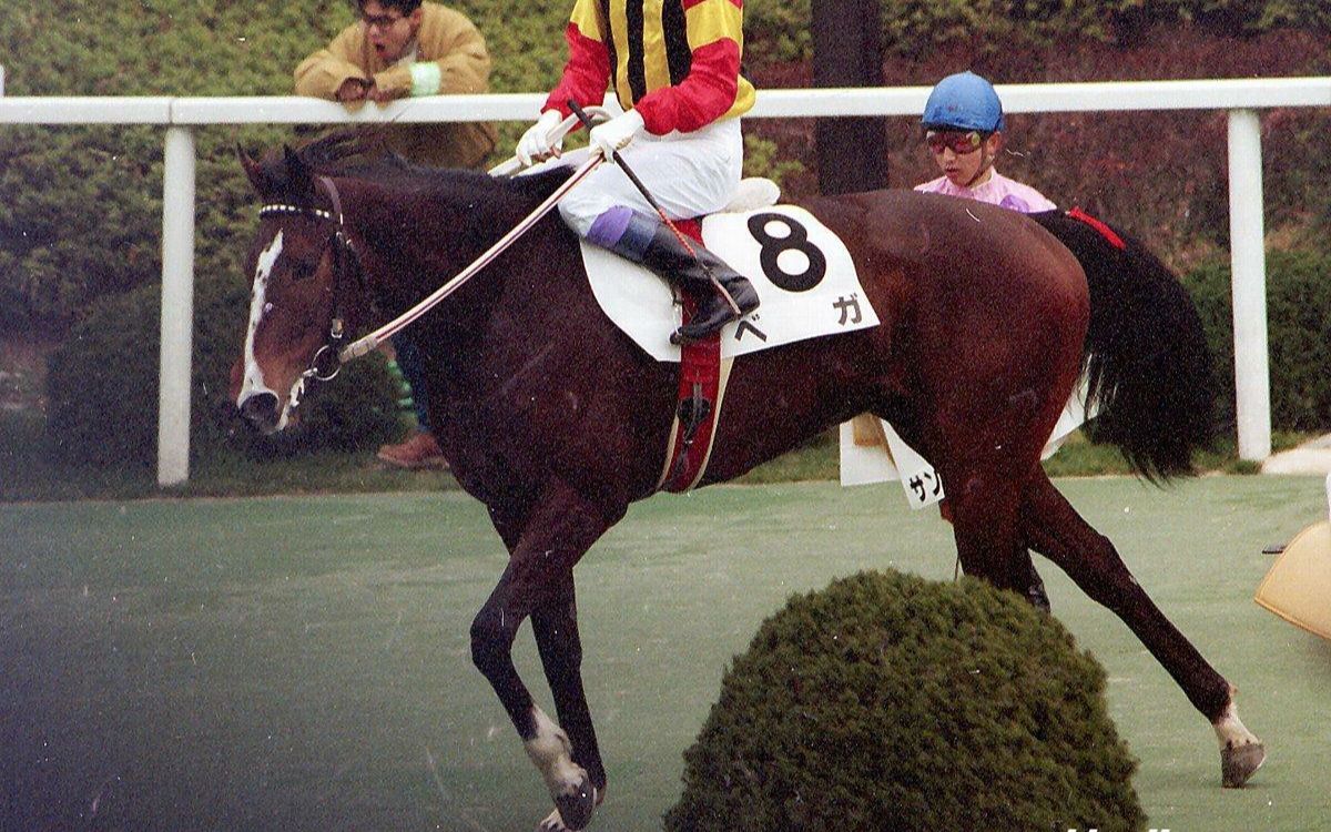 【賽馬】1993年牝馬三冠|櫻花賞,優駿牝馬,伊麗莎白女王杯【織姬/北斗