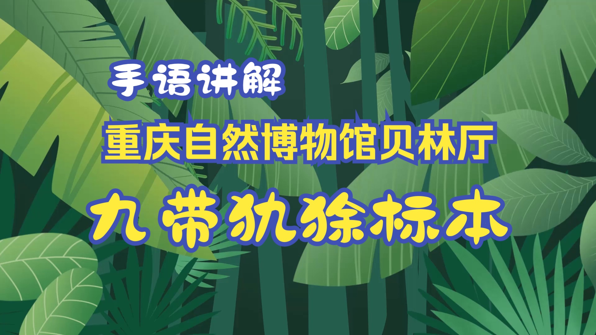 「手语花开」手语讲解之贝林厅导览:九带犰狳