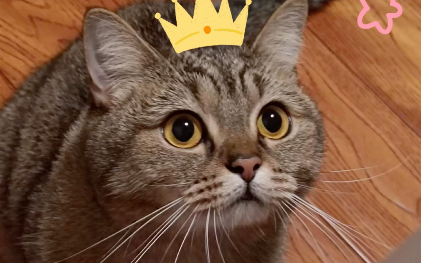 015朱主爱—《好想你》