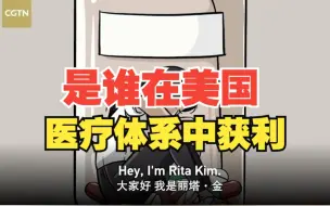 是谁在美国的医疗体系中获利？