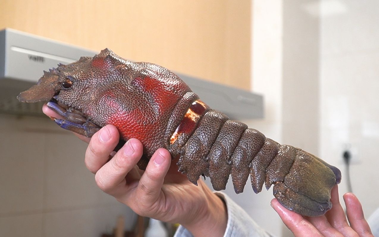 小伙138买了个犀牛虾来拍视频,揭露一个人做全职自媒体有多难?