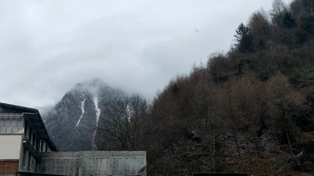 卧龙自然保护区景区,下雪景色很美,卖当地土特产的大妈非常热情哔哩哔哩bilibili