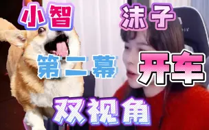 Download Video: 【小智X沫子】小智模仿秀都征服不了的女人，直呼受不了，第一次被女孩开车，速度太快，还跟不上！