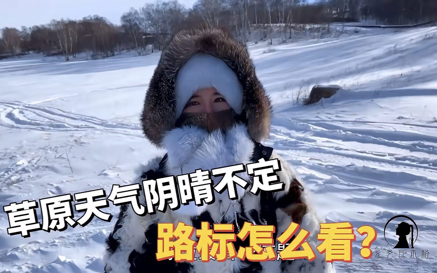 [图]牛羊群横穿草原上的公路,女汉子自驾冰雪天草原,外地人需要注意啥