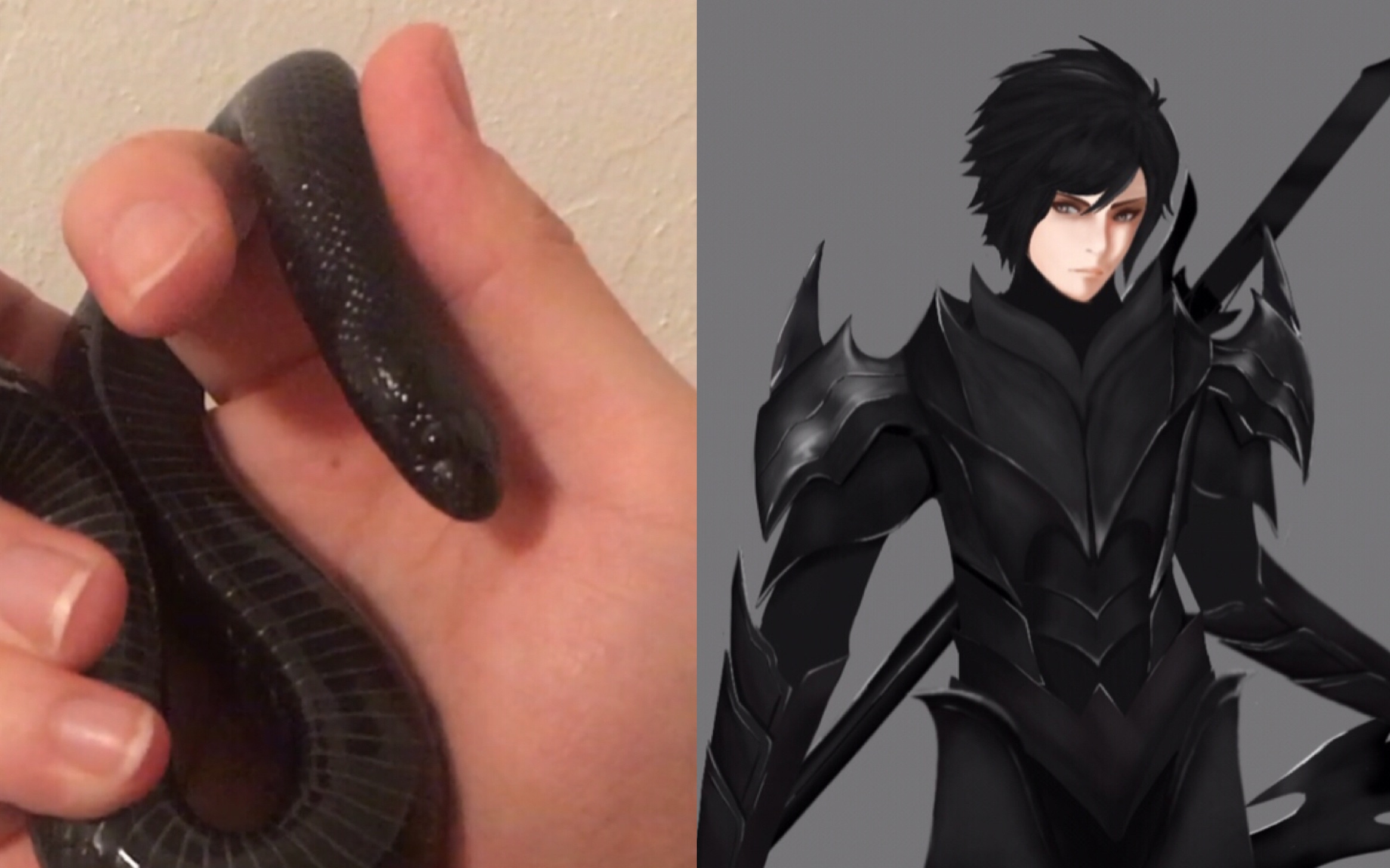 【拟它】拟它计划第二期, 黑王蛇拟人…不要问我为什么不是马卡龙