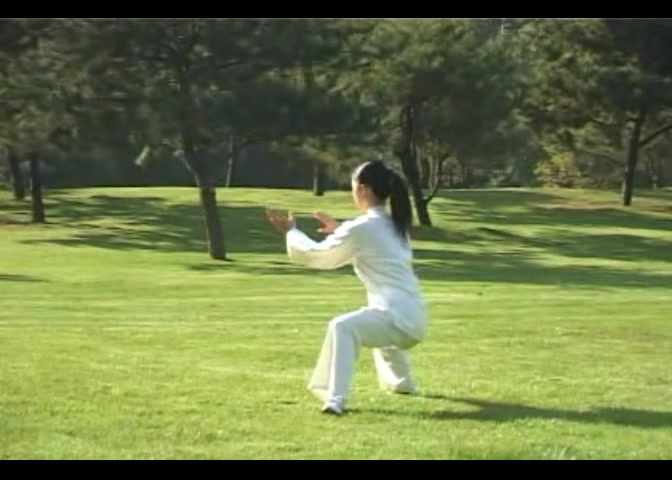 [图]【武术太极拳】一学就会邱惠芳四十二式太极拳01_2