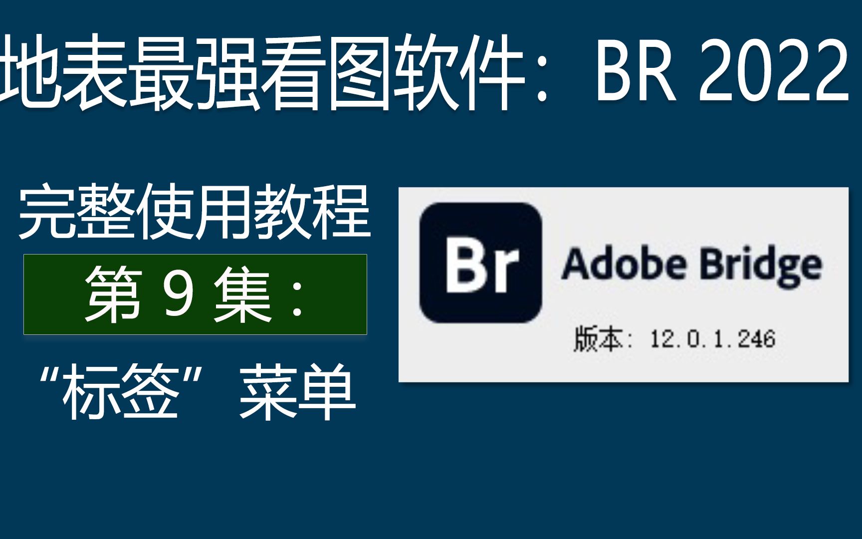 地表最强看图软件:BR2022完整教程第9集“标签”菜单哔哩哔哩bilibili