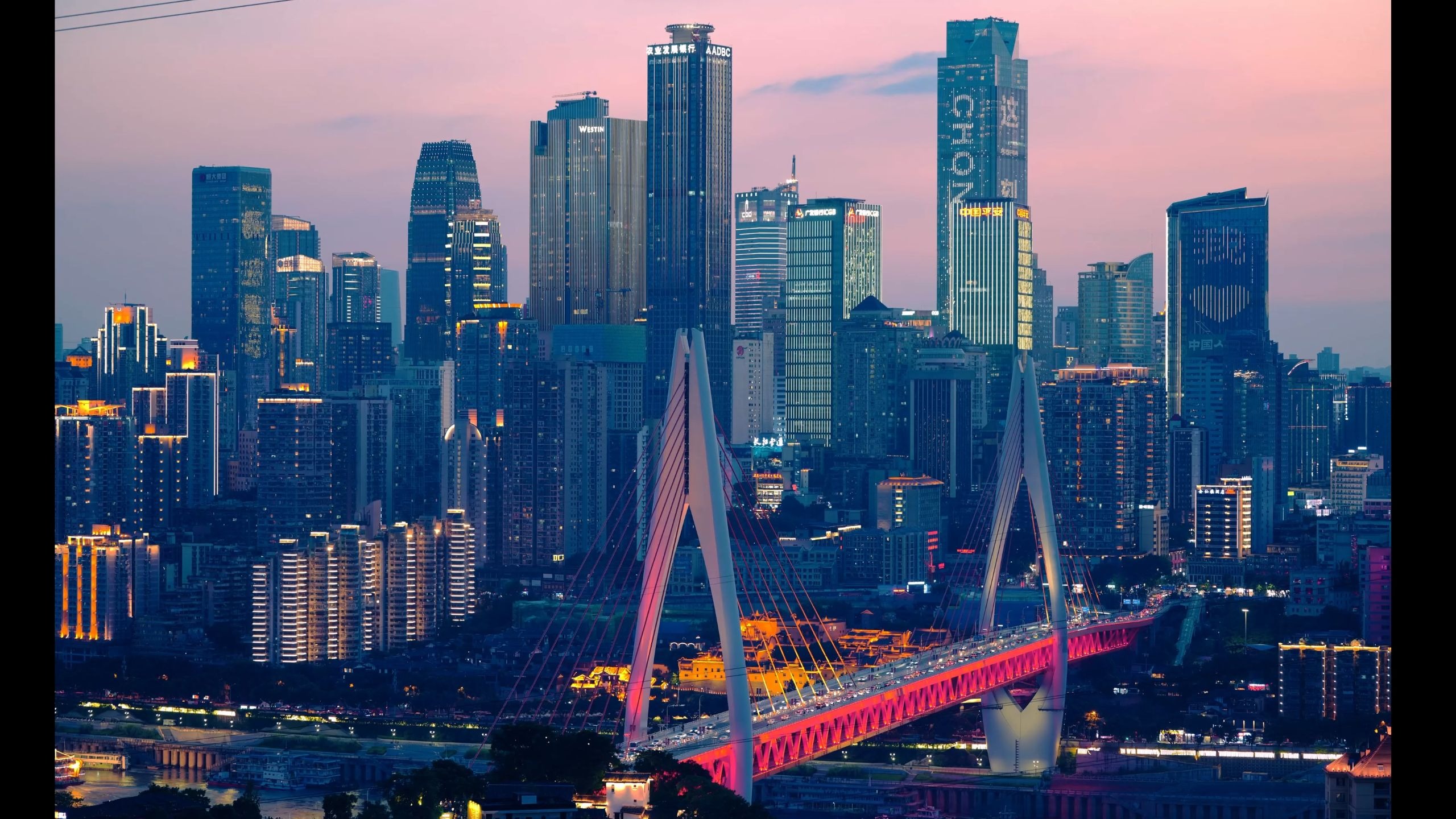 为了这些镜头,专门飞了一趟重庆