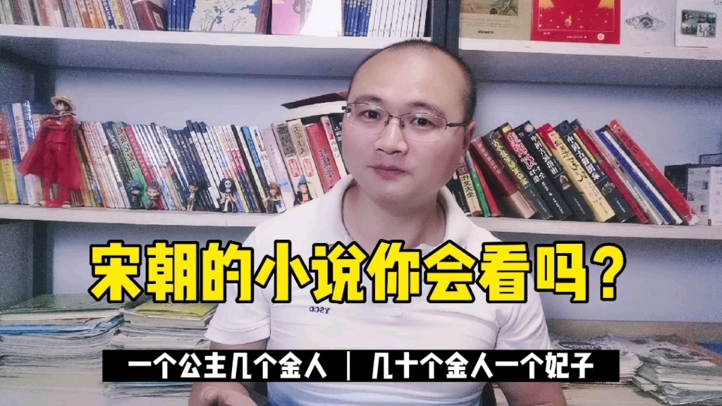 满朝奸臣的宋朝小说你会看吗?公主嫔妃宫女被俘虏,受尽金人欺辱哔哩哔哩bilibili