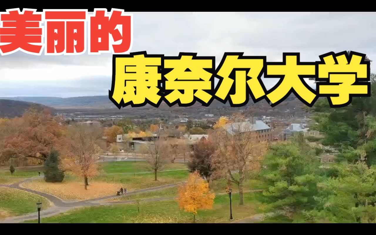 美丽的康奈尔大学(Cornell University)哔哩哔哩bilibili