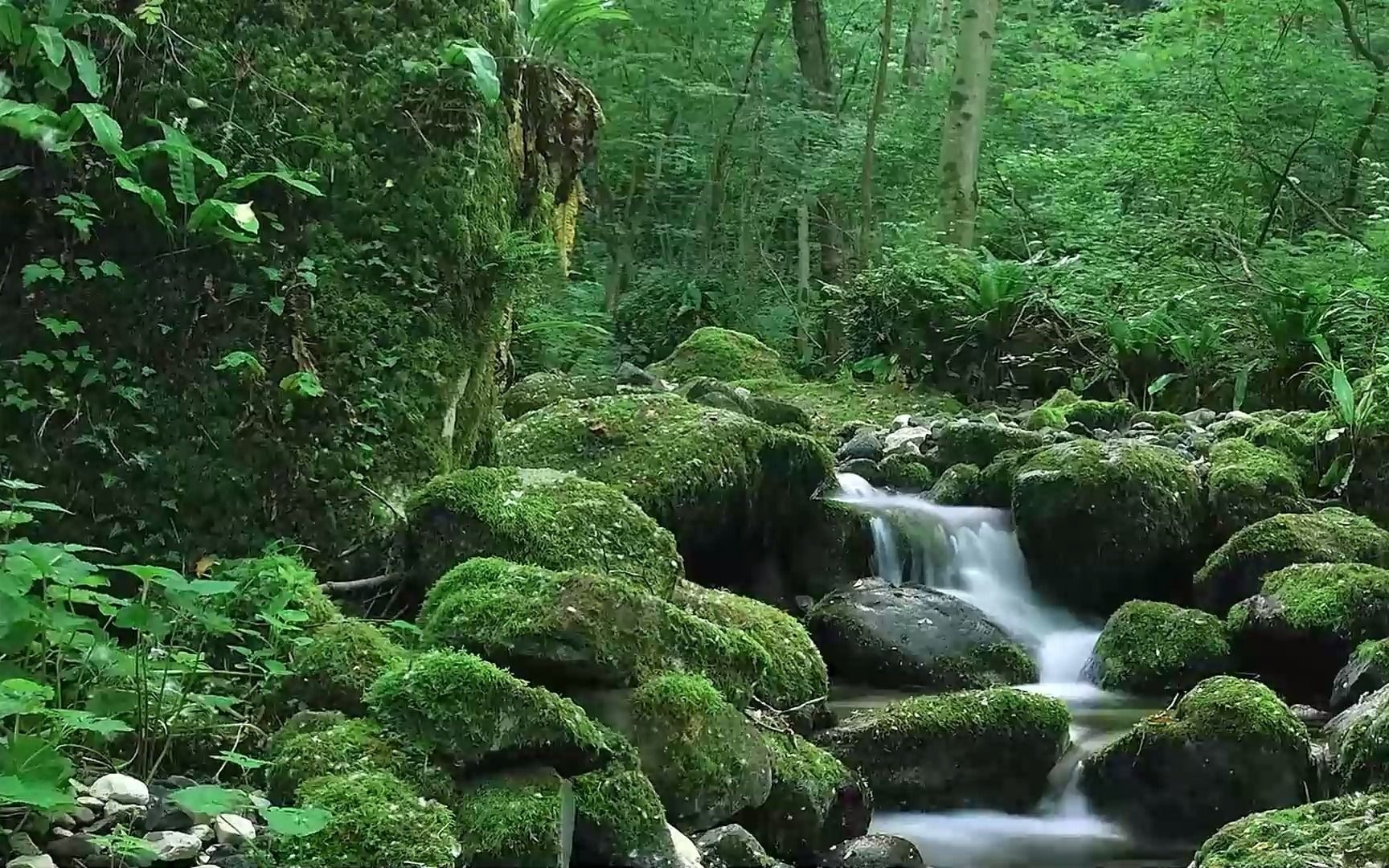 罗江普-奇门系统课(基础全解)