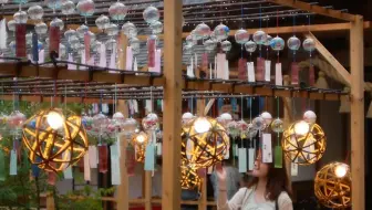 Japan In 8k Fumonji Temple 哔哩哔哩 Bilibili