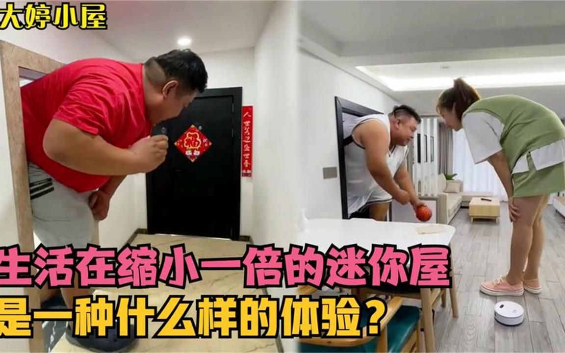 大婷小屋:美女住缩小一倍的迷你小屋生活,网友:太憋屈不敢住呀哔哩哔哩bilibili