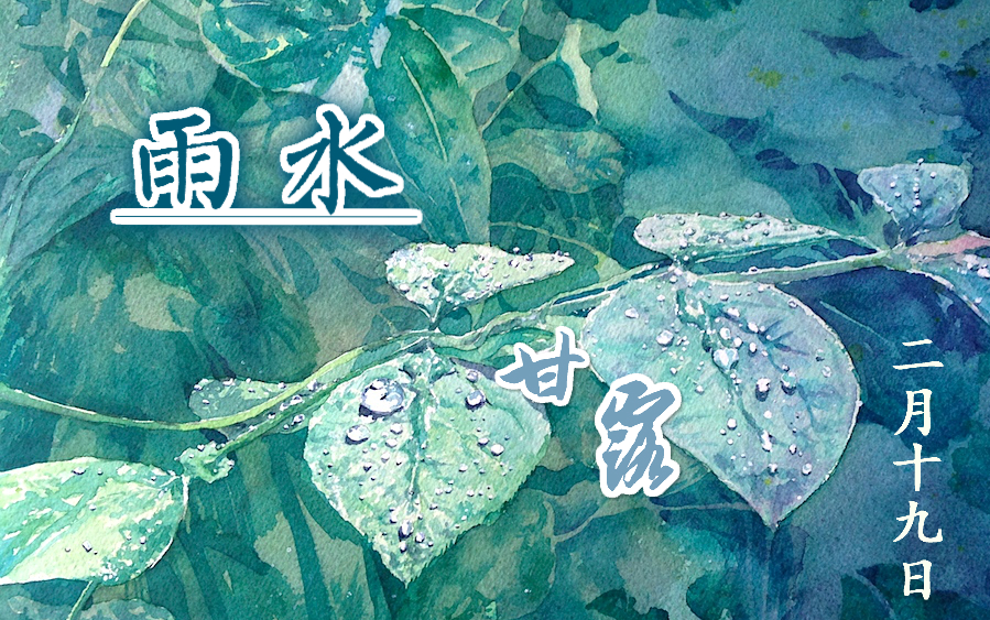 【节气物语】雨水【Chillout禅意电子】哔哩哔哩bilibili