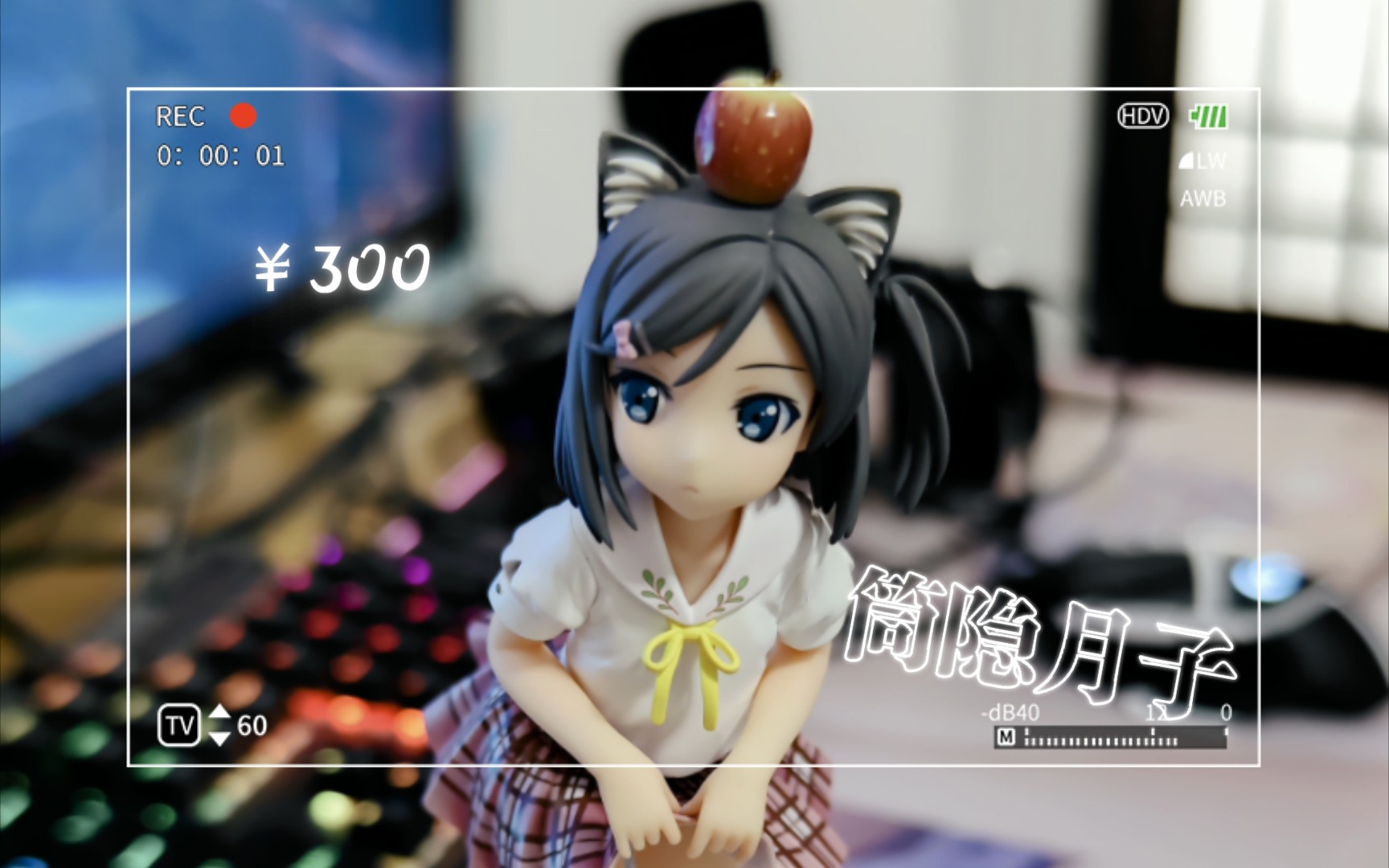 99古董手办来啦!筒隐月子当年只卖300哦!你还记得吗?94