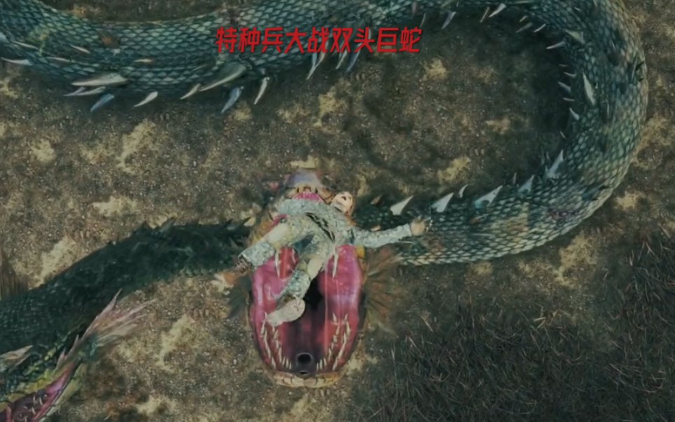 金刚大战巨蛇