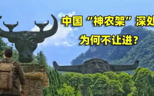 Download Video: 为什么中国“神农架”深处不让进，私自闯入的驴友都经历了什么？