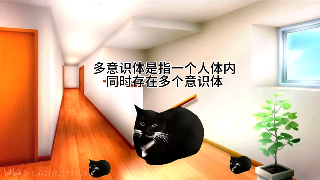 猫meme科普:多意识体哔哩哔哩bilibili