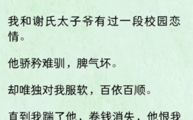 我和谢氏太子爷有过一段校园恋情.他骄矜难驯,脾气坏.