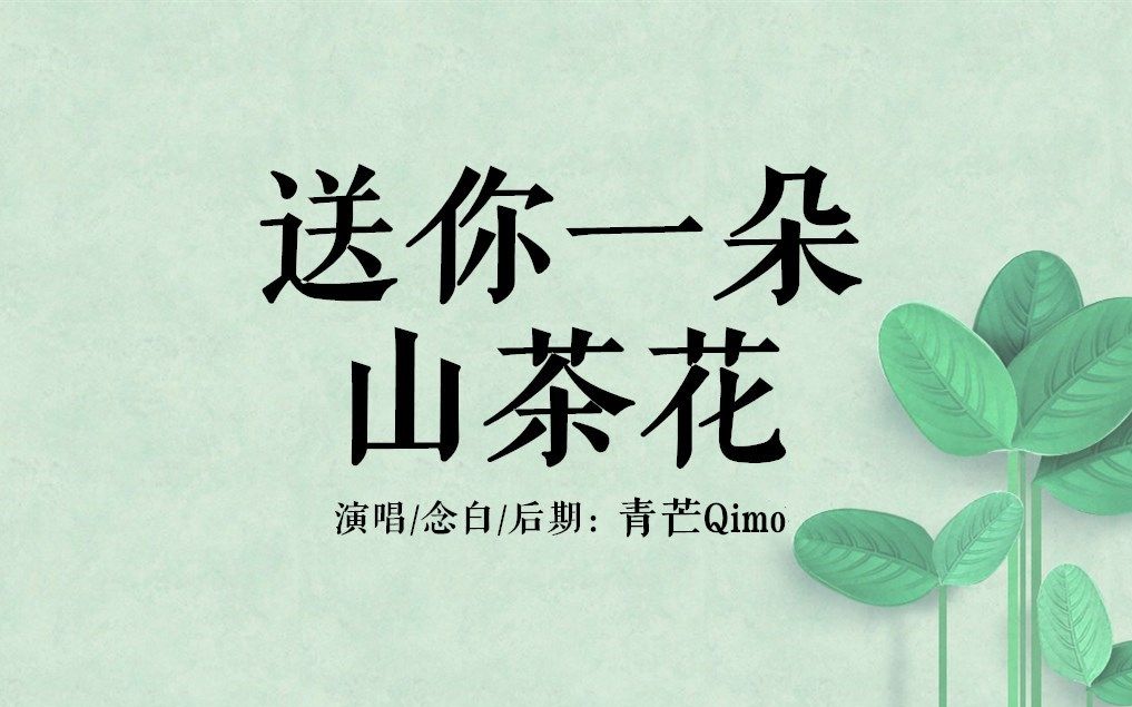 【青芒Qimo】送你一朵山茶花(软萌男声)哔哩哔哩bilibili