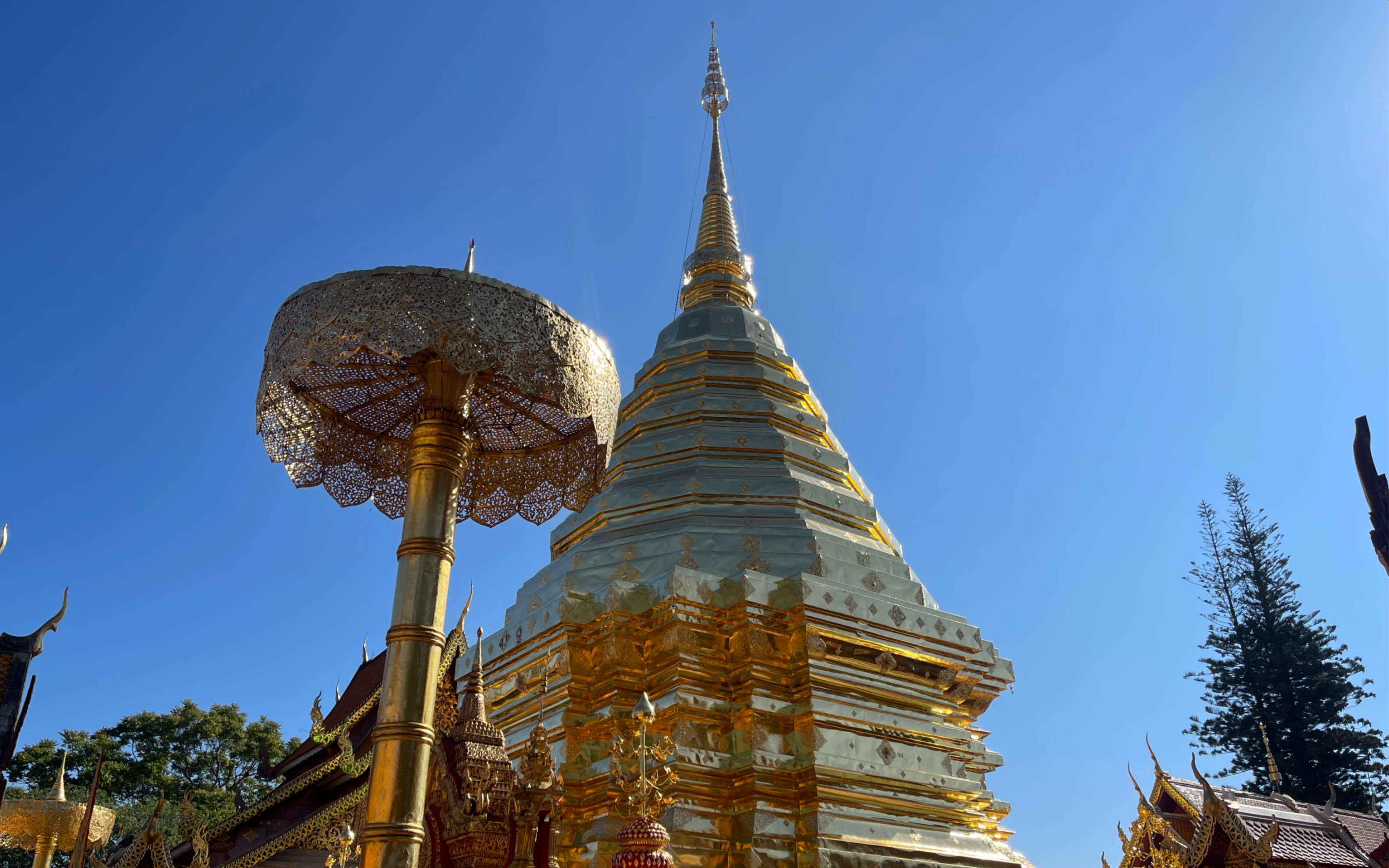 清迈素帖山双龙寺,登山路上风光旖旎