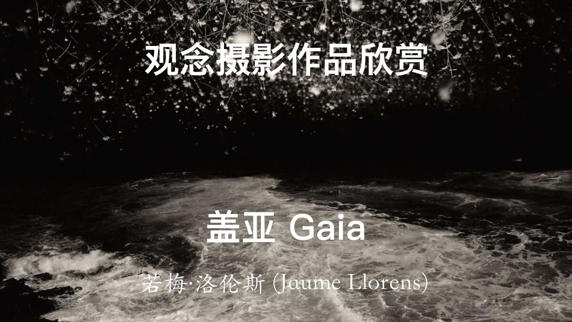 盖亚(Gaia),用摄影来表达自然与大地的整体性哔哩哔哩bilibili