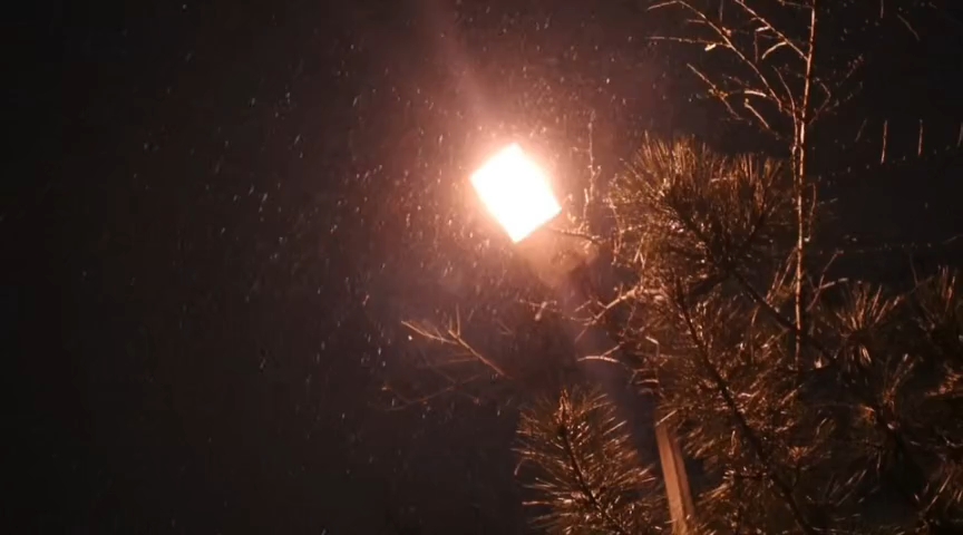 [图]在人大的一场雪，确定不进来和雪花接个吻吗？