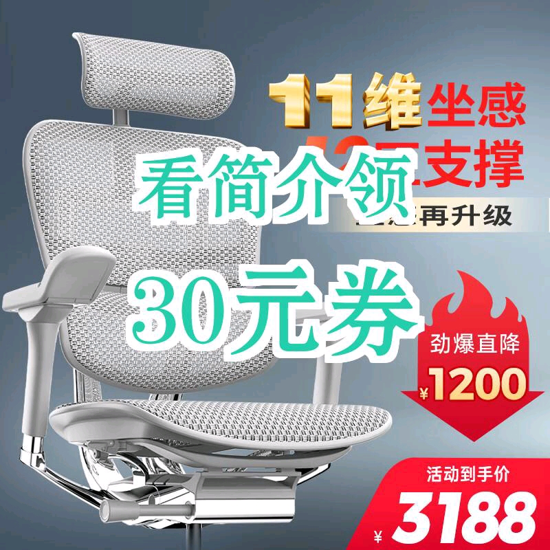 【30元券】保友办公家具(Ergonor) 金豪e 2代高端人体工学椅 电脑椅子 办公椅家用电竞椅老板椅座椅 银白(Q4.0)美国网 精英版哔哩哔哩bilibili