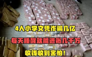 Download Video: 4人小学文凭诈骗几亿，每天睡醒就能进账几千万：收钱收到害怕！