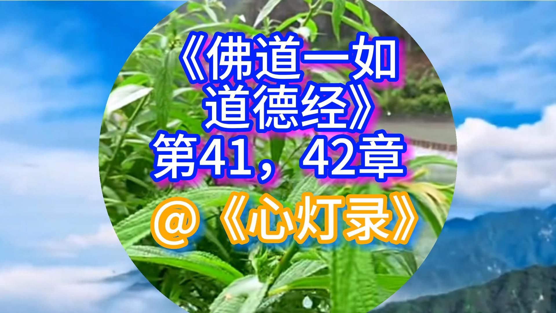 《佛道一如道德经》第41,42章@《心灯录》哔哩哔哩bilibili