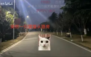 Download Video: 猫猫惊魂，挑战通关五个结局