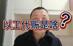 以工代赈是什么哔哩哔哩bilibili