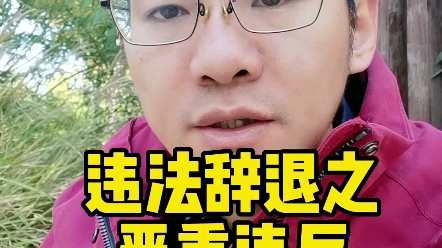 公司以严重违反公司制度为由辞退你哔哩哔哩bilibili