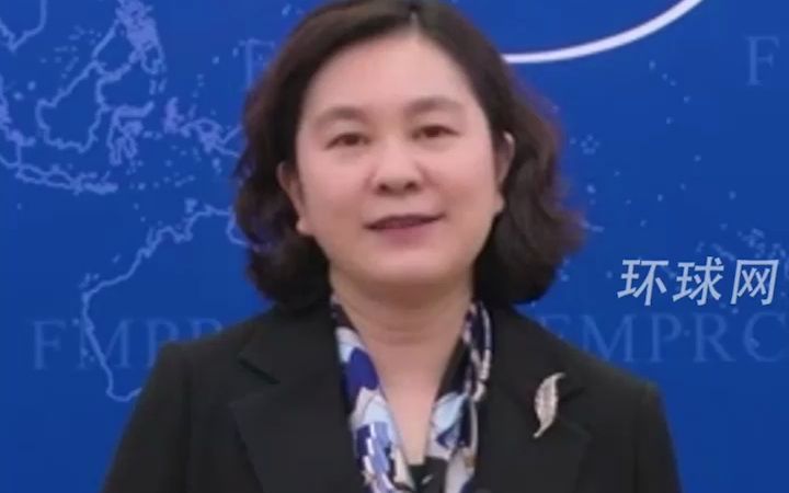 华春莹:麻栗坡古树茶进入“国礼目录”,已赠联合国安理会成员哔哩哔哩bilibili