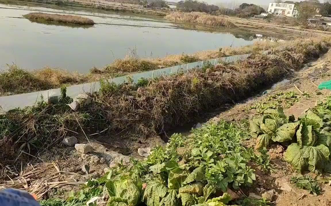 『乡村风光』到田间菜地走走,日常带娃的户外体验哔哩哔哩bilibili