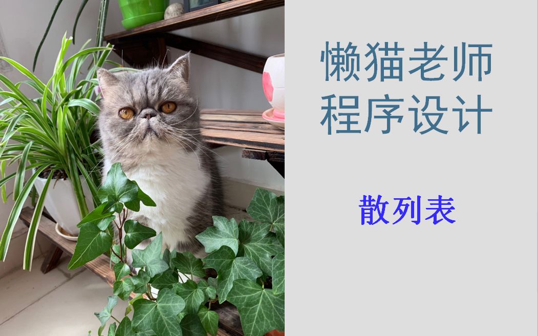 懒猫老师数据结构(60)散列表(哈希表)哔哩哔哩bilibili