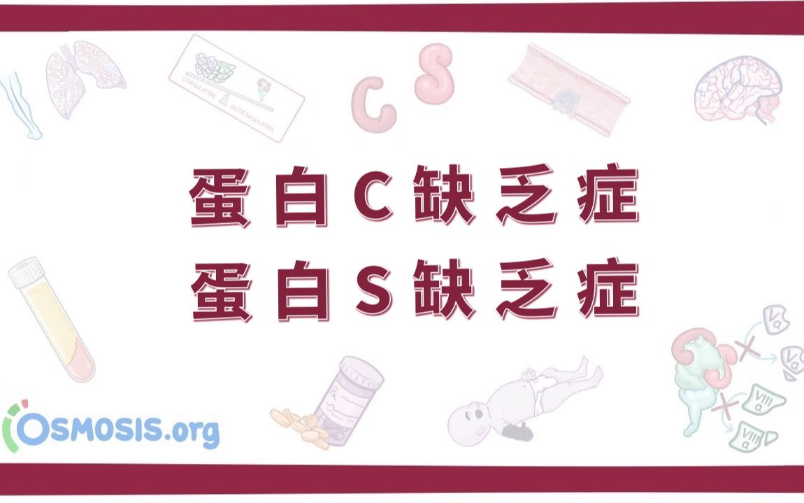 【Osmosis】蛋白C缺乏症 & 蛋白S缺乏症|Protein C and S Deficiency(中英字幕)哔哩哔哩bilibili