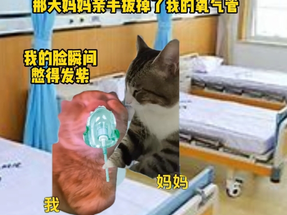 那是我朝思暮想的人啊|||那是我朝思暮想的人啊猫meme #真实还原# #内容来源于网络# #母爱# #爱你老妈#哔哩哔哩bilibili