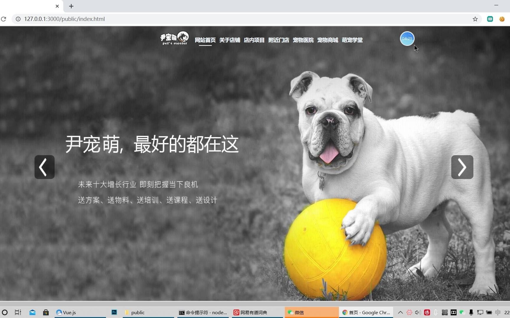 使用jQuery+node.js+mongoDB数据库制作一个宠物商城小网站哔哩哔哩bilibili