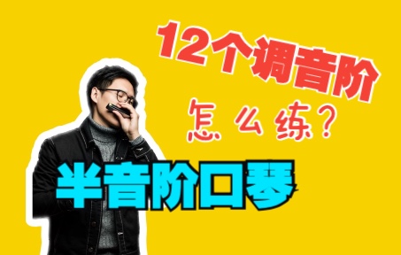 【半音阶口琴】熟练掌握12个调音阶,第一步从这里开始哔哩哔哩bilibili