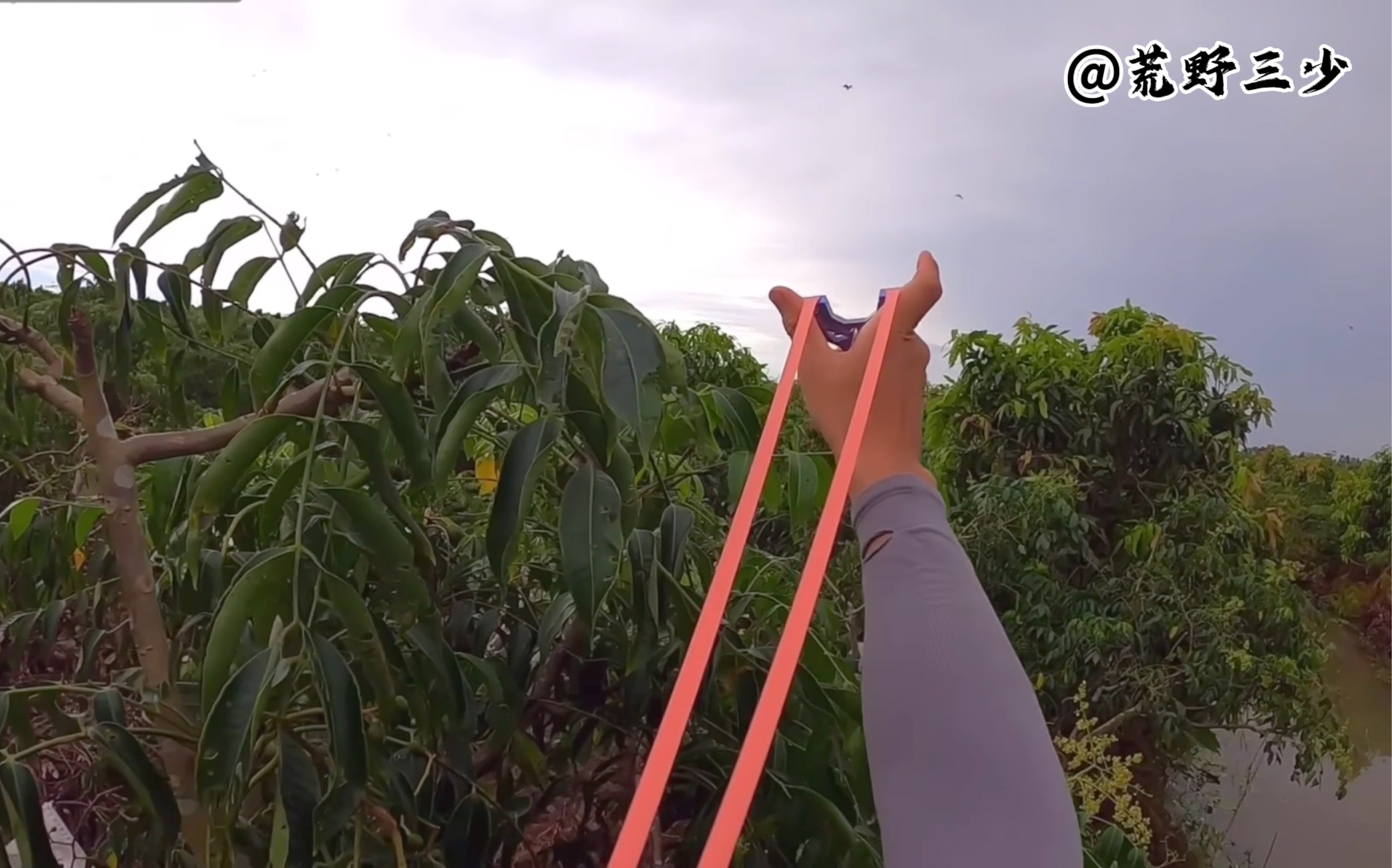 越南弹弓竖握小哥,空中拦截猎物,是否能够成功呢