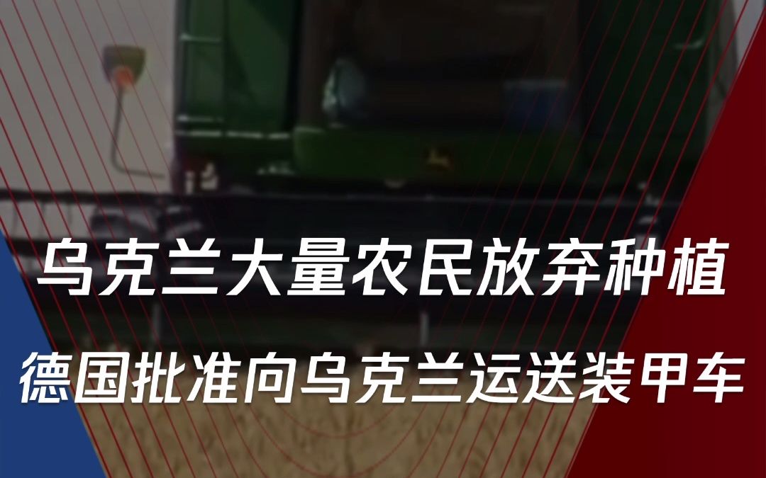 有著歐洲糧倉之稱的烏克蘭今年大量農民已放棄種植