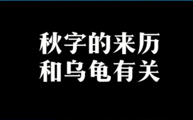 秋字的来历和乌龟有关哔哩哔哩bilibili