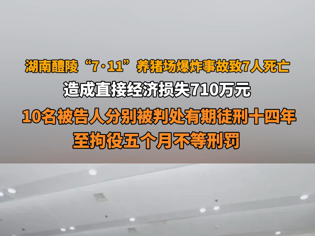 湖南醴陵“7ⷮŠ11”养猪场爆炸事故致7人死亡,养殖场及周边房屋受损,造成直接经济损失710万元.10名被告人分别被判处有期徒刑十四年至拘役五个月不...