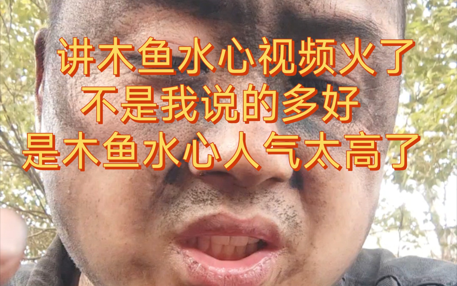 关于木鱼水心的视频火了哔哩哔哩bilibili